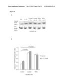 CATHELICIDIN AS NOVEL INFLAMMATORY BOWEL DISEASE MARKER AND THERAPY FOR     COLITIS-ASSOCIATED INTESTINAL FIBROSIS diagram and image