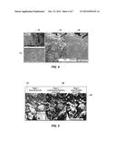 SYSTEM AND METHOD FOR ASSESSING RANGELAND diagram and image