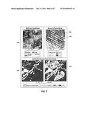 SYSTEM AND METHOD FOR ASSESSING RANGELAND diagram and image