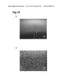 TARGET FOR ULTRAVIOLET LIGHT GENERATION, ELECTRON BEAM-EXCITED ULTRAVIOLET     LIGHT SOURCE, AND PRODUCTION METHOD FOR TARGET FOR ULTRAVIOLET LIGHT     GENERATION diagram and image