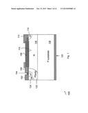 LATERAL DEVICES CONTAINING PERMANENT CHARGE diagram and image