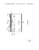 LATERAL DEVICES CONTAINING PERMANENT CHARGE diagram and image