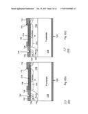 LATERAL DEVICES CONTAINING PERMANENT CHARGE diagram and image