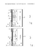 LATERAL DEVICES CONTAINING PERMANENT CHARGE diagram and image