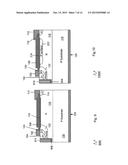 LATERAL DEVICES CONTAINING PERMANENT CHARGE diagram and image