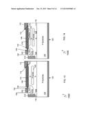 LATERAL DEVICES CONTAINING PERMANENT CHARGE diagram and image