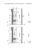 LATERAL DEVICES CONTAINING PERMANENT CHARGE diagram and image