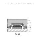 LUMINESCENT DEVICE AND MANUFACTURING METHOD FOR LUMINESCENT DEVICE AND     SEMICONDUCTOR DEVICE diagram and image