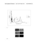 CARBON DIOXIDE ASSISTED METAL-OXYGEN BATTERY AND RELATED METHOD diagram and image