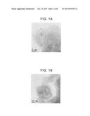 ELECTRODE CATALYST FOR FUEL CELL AND METHOD OF PRODUCING THE SAME, AND     CATHODE, ANODE, AND FUEL CELL INCLUDING ELECTRODE CATALYST diagram and image