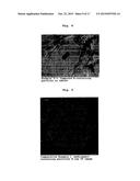 MEDICAMENT-CONTAINING HOLLOW PARTICLE diagram and image