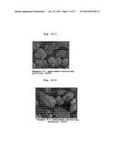 MEDICAMENT-CONTAINING HOLLOW PARTICLE diagram and image