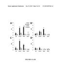 METHOD OF ENHANCING GLUCOSE-STIMULATED INSULIN SECRETION AND OF TREATING     TYPE 2 DIABETES OR HYPOGLYCEMIA diagram and image