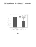 COMPOSITION FOR PREVENTING ALZHEIMER S DISEASE, CONTAINING PURPLE BAMBOO     SALT, AND METHOD FOR PREPARING PURPLE BAMBOO SALT diagram and image