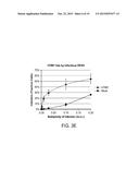 COMPOSITIONS AND METHODS FOR INHIBITING VIRAL ENTRY diagram and image