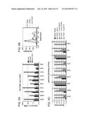 COMPOSITIONS AND METHODS FOR INHIBITING VIRAL ENTRY diagram and image