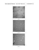 SAPONIN NANO MICELLE, PREPARING METHOD, APPLICATION AND PHARMACEUTICAL     COMPOSITION THEREOF diagram and image