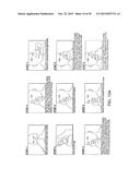 CONTROLLED RELEASE TOPICAL TESTOSTERONE FORMULATIONS AND METHODS diagram and image