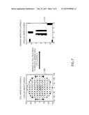 Patterned Wafer Geometry Measurements for Semiconductor Process Controls diagram and image