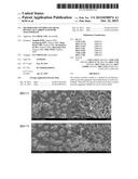 METHOD FOR CONTROLLING BULK DENSITY OF CARBON NANOTUBE AGGLOMERATE diagram and image