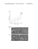 METHOD FOR CONTROLLING BULK DENSITY OF CARBON NANOTUBE AGGLOMERATE diagram and image