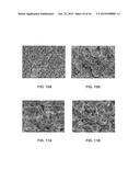 ACTIVE MATERIALS FOR LEAD ACID BATTERY diagram and image