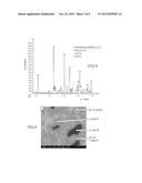 COMPOSITE MATERIAL HAVING AN ALUMINOSILICATE MATRIX, IN PARTICULAR MADE     FROM BARIUM ALUMINOSILICATE (BAS) REINFORCED WITH METAL OXIDE     REINFORCEMENTS, AND METHOD FOR PREPARING SAME diagram and image