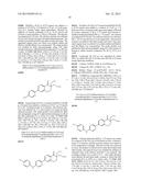 NOVEL COMPOUNDS AS DIACYLGLYCEROL ACYLTRANSFERASE INHIBITORS diagram and image