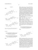 NOVEL COMPOUNDS AS DIACYLGLYCEROL ACYLTRANSFERASE INHIBITORS diagram and image