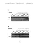 COMPOUNDS FOR USE IN THE TREATMENT OF PARASITIC DISEASES diagram and image