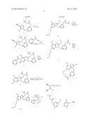 MACROCYCLIC PURINES FOR THE TREATMENT OF VIRAL INFECTIONS diagram and image