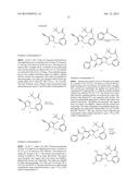 MACROCYCLIC PURINES FOR THE TREATMENT OF VIRAL INFECTIONS diagram and image