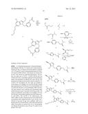 MACROCYCLIC PURINES FOR THE TREATMENT OF VIRAL INFECTIONS diagram and image