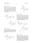 MACROCYCLIC PURINES FOR THE TREATMENT OF VIRAL INFECTIONS diagram and image