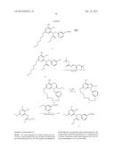 MACROCYCLIC PURINES FOR THE TREATMENT OF VIRAL INFECTIONS diagram and image