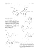 MACROCYCLIC PURINES FOR THE TREATMENT OF VIRAL INFECTIONS diagram and image