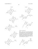 MACROCYCLIC PURINES FOR THE TREATMENT OF VIRAL INFECTIONS diagram and image