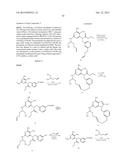 MACROCYCLIC PURINES FOR THE TREATMENT OF VIRAL INFECTIONS diagram and image