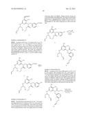 MACROCYCLIC PURINES FOR THE TREATMENT OF VIRAL INFECTIONS diagram and image