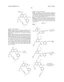 MACROCYCLIC PURINES FOR THE TREATMENT OF VIRAL INFECTIONS diagram and image