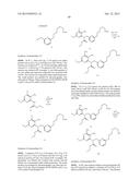 MACROCYCLIC PURINES FOR THE TREATMENT OF VIRAL INFECTIONS diagram and image