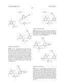 MACROCYCLIC PURINES FOR THE TREATMENT OF VIRAL INFECTIONS diagram and image