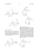 MACROCYCLIC PURINES FOR THE TREATMENT OF VIRAL INFECTIONS diagram and image