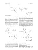 MACROCYCLIC PURINES FOR THE TREATMENT OF VIRAL INFECTIONS diagram and image