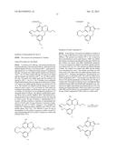 MACROCYCLIC PURINES FOR THE TREATMENT OF VIRAL INFECTIONS diagram and image