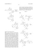 MACROCYCLIC PURINES FOR THE TREATMENT OF VIRAL INFECTIONS diagram and image