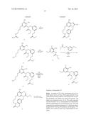 MACROCYCLIC PURINES FOR THE TREATMENT OF VIRAL INFECTIONS diagram and image