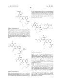 MACROCYCLIC PURINES FOR THE TREATMENT OF VIRAL INFECTIONS diagram and image