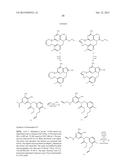 MACROCYCLIC PURINES FOR THE TREATMENT OF VIRAL INFECTIONS diagram and image