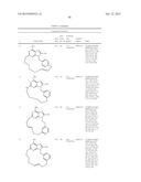 MACROCYCLIC PURINES FOR THE TREATMENT OF VIRAL INFECTIONS diagram and image